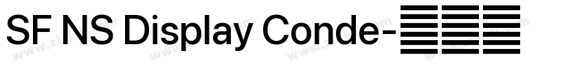 SF NS Display Conde字体转换